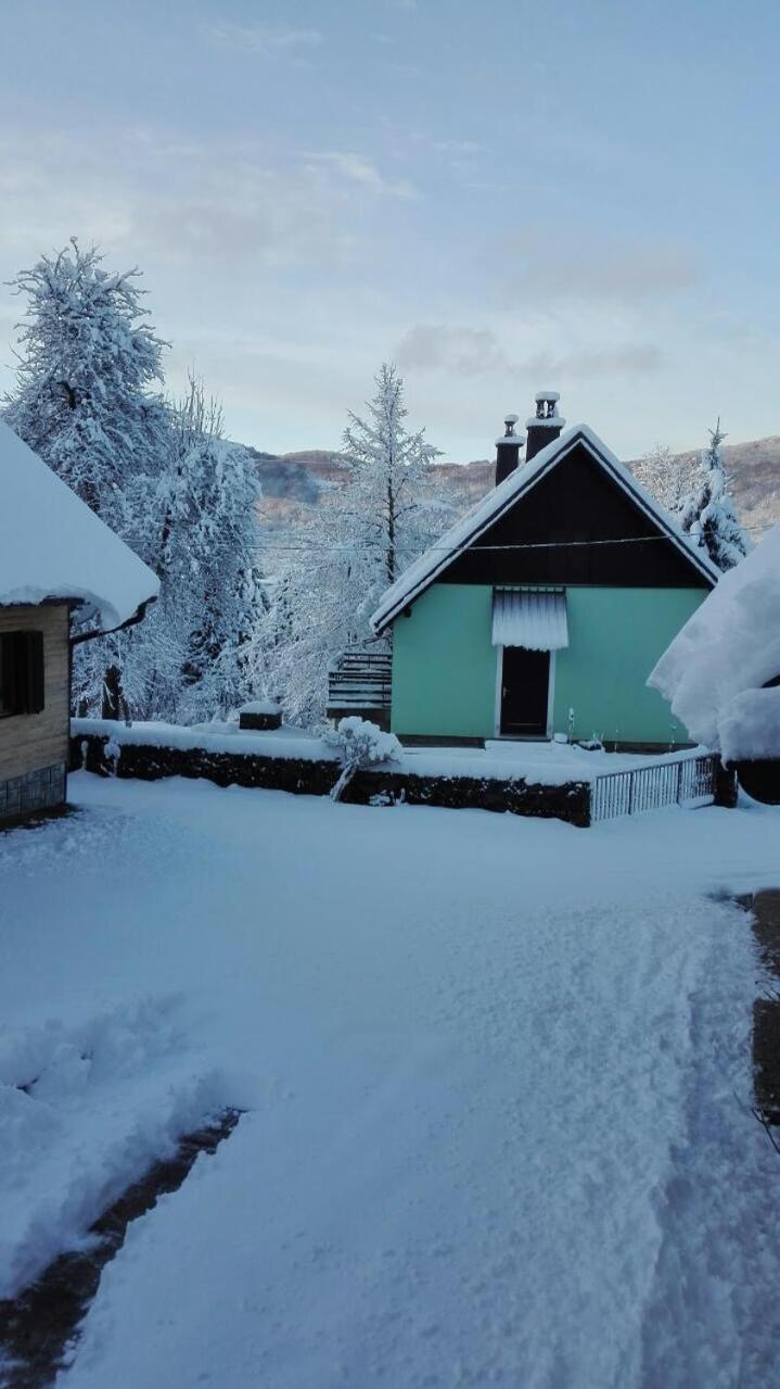 Forest Chalet Zalesina Exterior photo